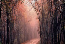 乐鱼体育-利物浦内部会议纪要流出——赛后临场应变；NBA总决赛使命明确；团队化学反应显著的简单介绍-乐鱼体育